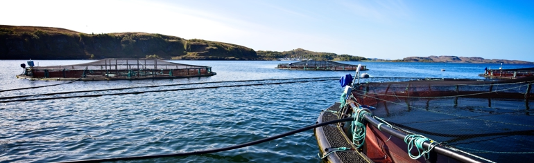 Finfish aquaculture sector plan