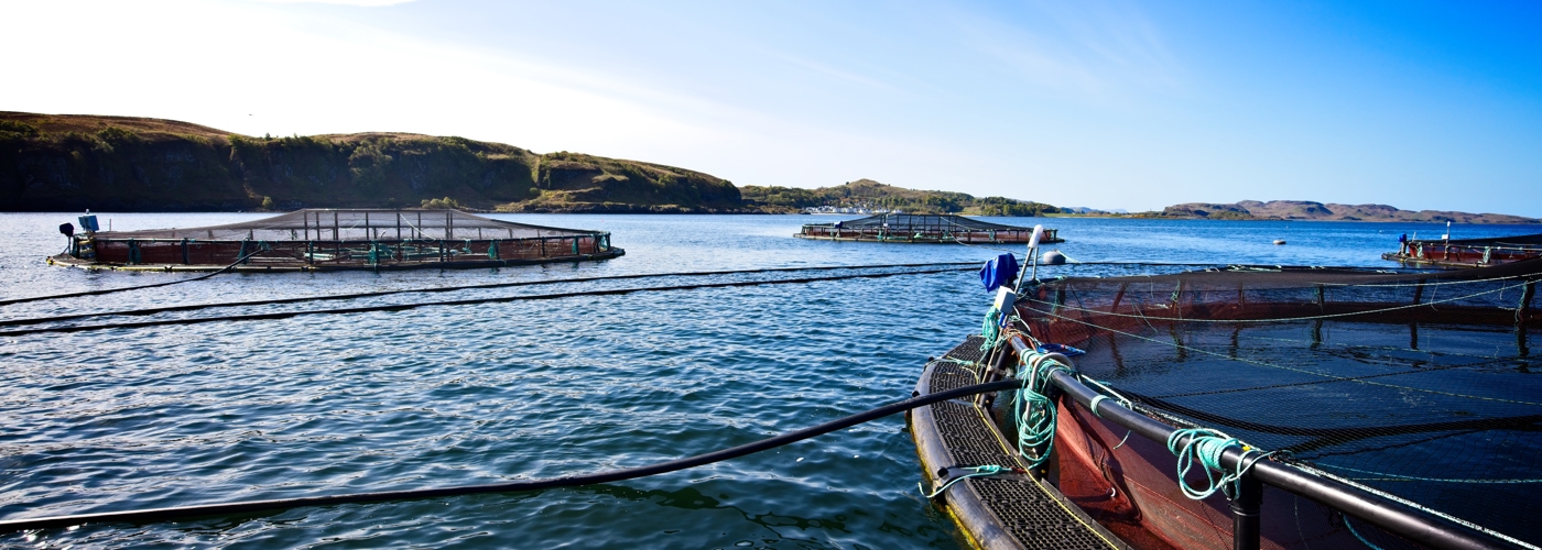 Finfish aquaculture sector plan image