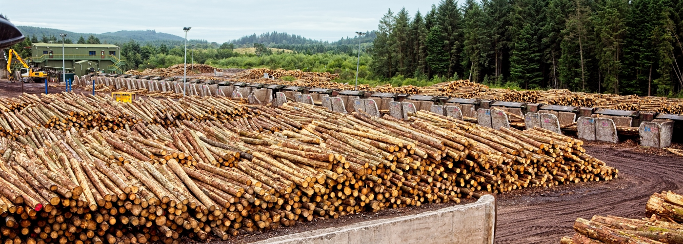 Forestry and wood processing sector plan image